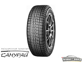 iceGuard Studless iG70